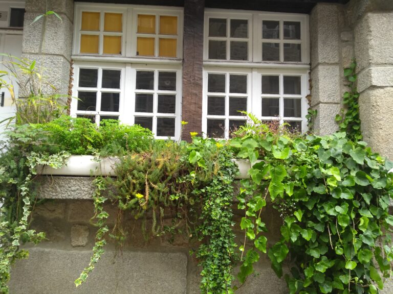 French Cottage Charm