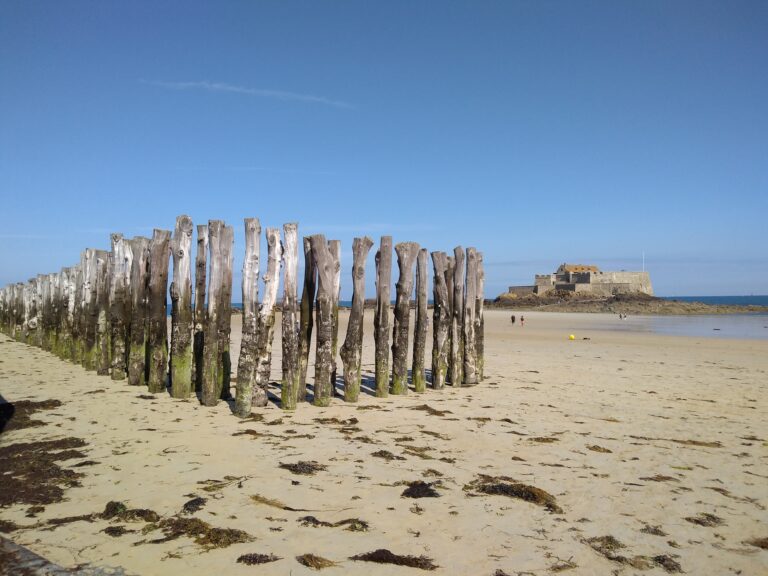 IMG_20190702_111522710