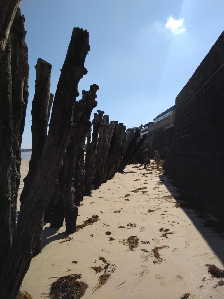 IMG_20190702_111534151