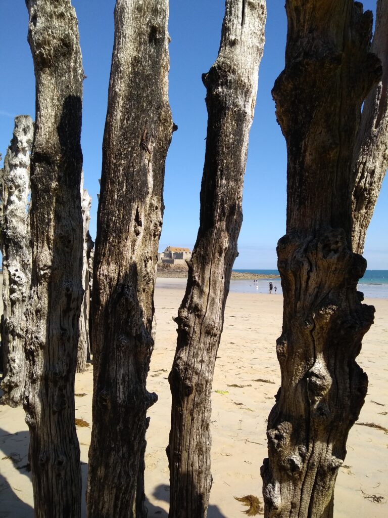 IMG_20190702_111548635