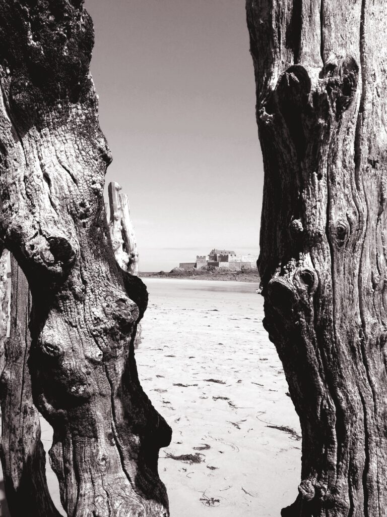 IMG_20190702_111609818_1