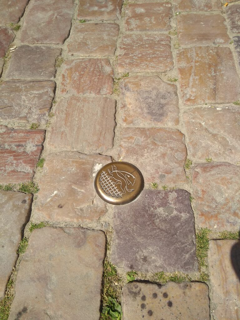 IMG_20190702_112952783