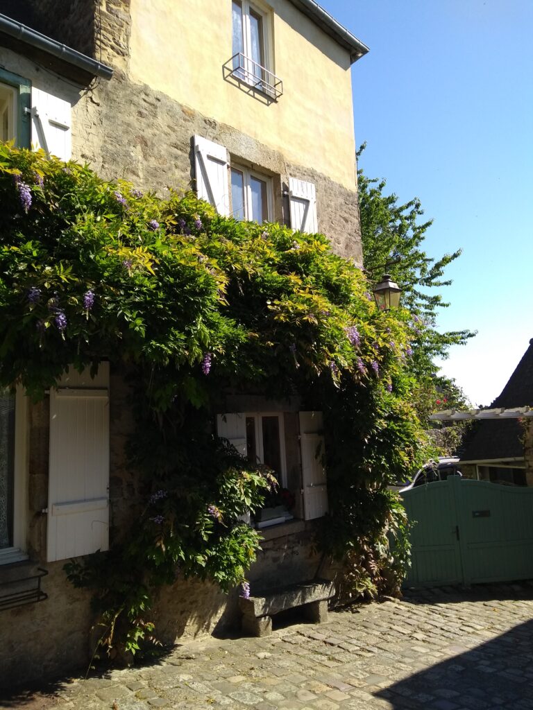 Vine covered medieval houses