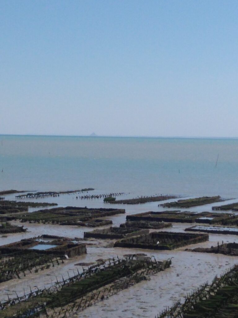 Oyster Beds