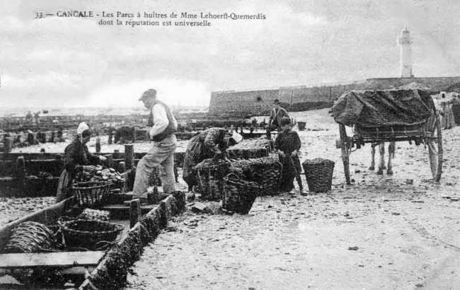 Cancale Oyster Beds