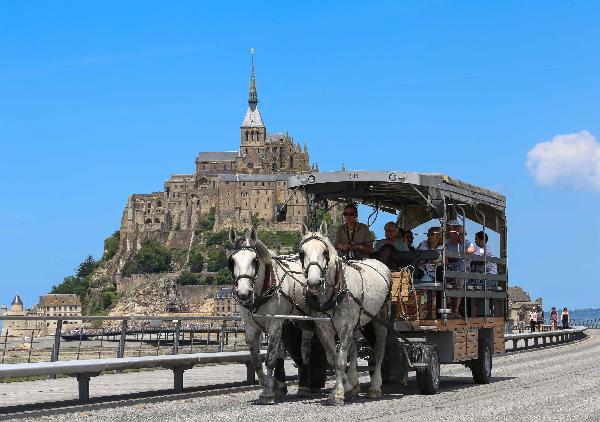 Take the horse drawn carriage from the parking lots.