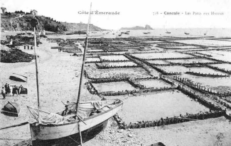 Cancale Oyster Beds